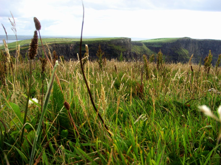 The Cliffs of Moher